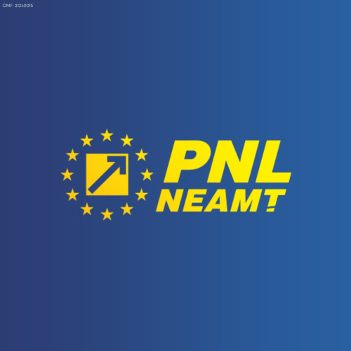 Conducerea PNL Neamț a dizolvat Biroul Municipal PNL Piatra Neamț