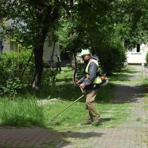 Activități de întreținere a spațiilor verzi în Piatra-Neamț