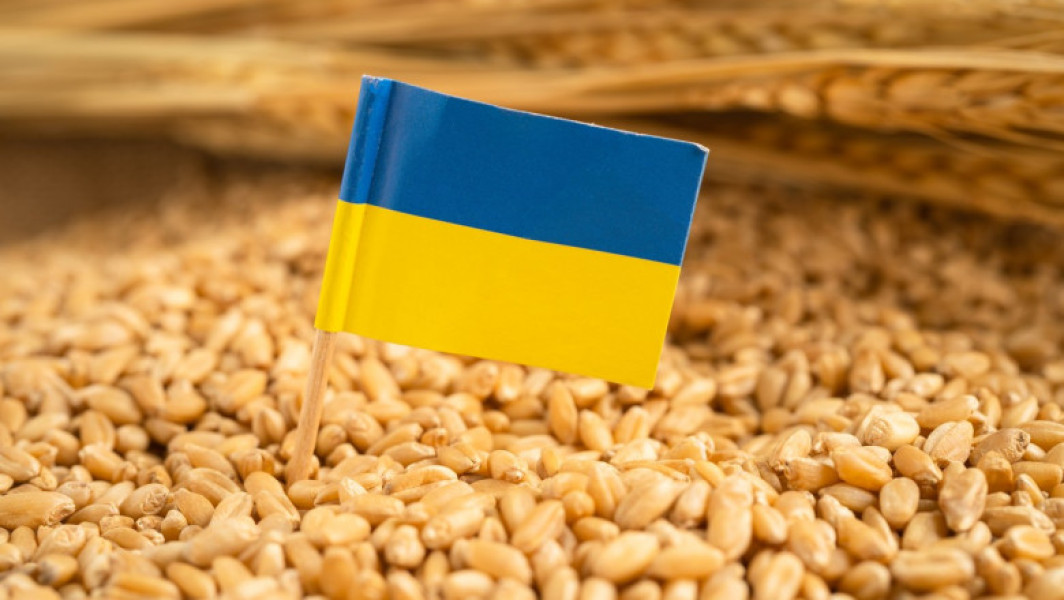 Inăsprim măsurile privind tranzitarea cerealelor ucrainene