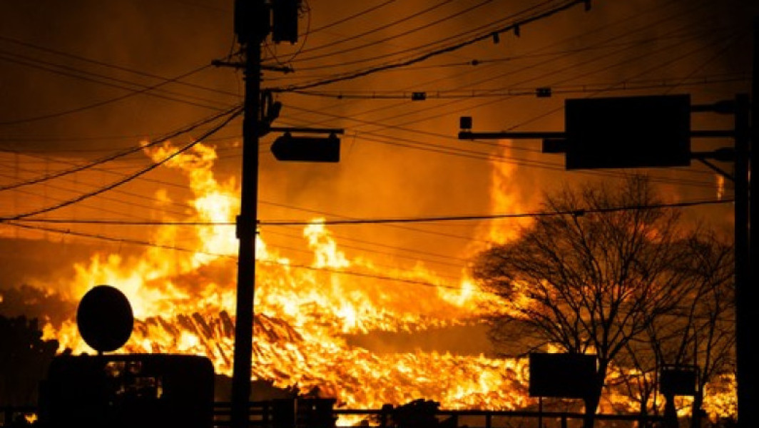 Incendii de vegetație devastatoare în Coreea de Sud