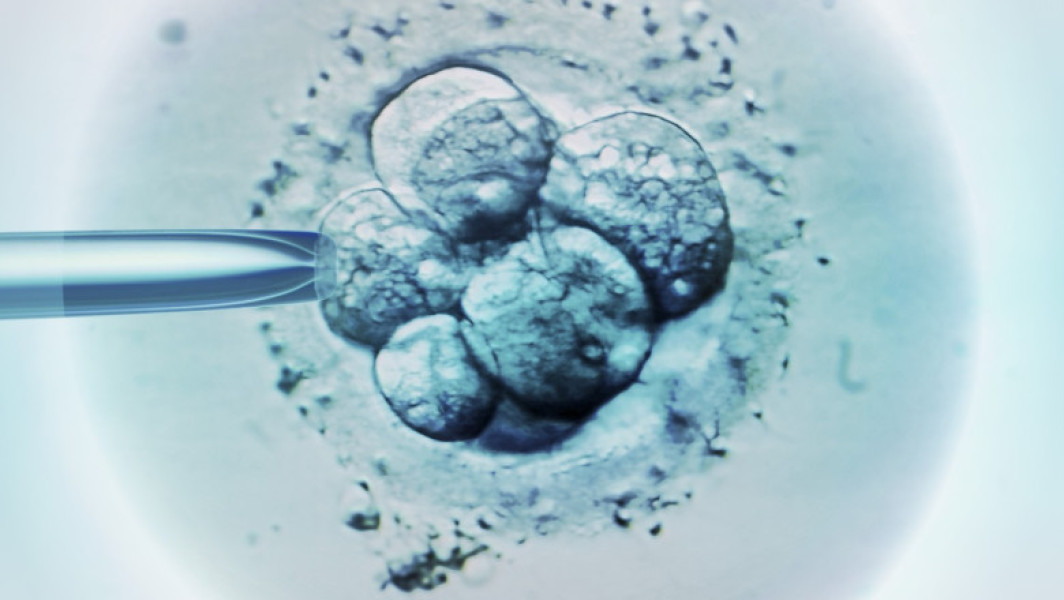 O greșeală la o clinică de fertilitate din Australia a dus la nașterea unui copil