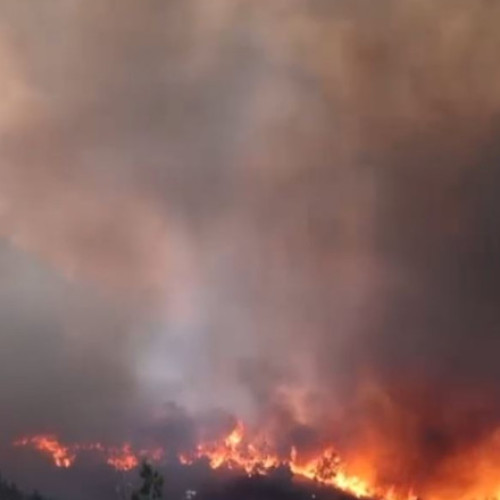 Incendiile de vegetație devastatoare pe insula Chios