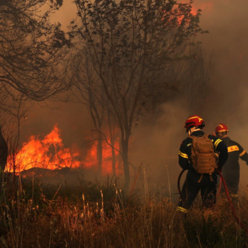 Incendii de vegetație în apropierea Atenei din cauza caniculei