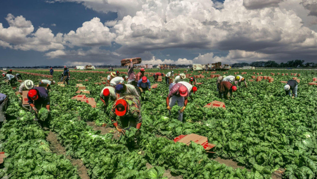 Trump propune un permis temporar pentru imigranții din sectorul agricol