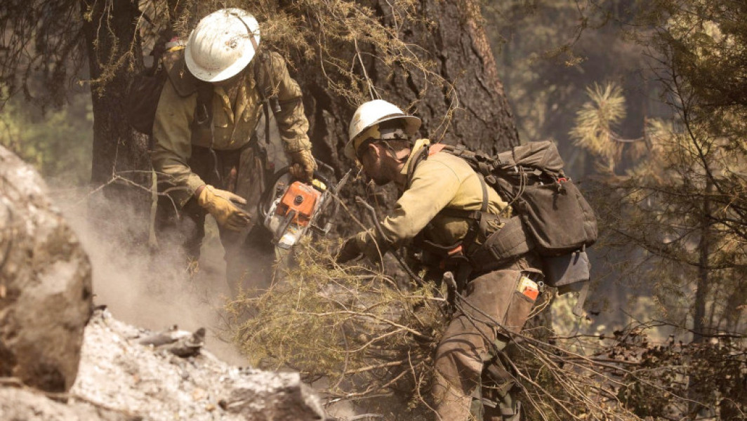 Doi pompieri au fost uciși și unul a fost rănit în Idaho, după ce au fost atacați de persoane înarmate, în timp ce intervenneau pentru stingerea unui incendiu de vegetație. Incidentul a avut loc duminică în apropiere de Coeur d'Alene, iar oficialii au confirmat că victimele sunt cel mai probabil oameni care participau la salvare. Rănitul, care a fost împușcat în timpul atacului, a fost transportat la spitalul Kootenai Health, potrivit centrului medical, citează ABC News și News.ro.