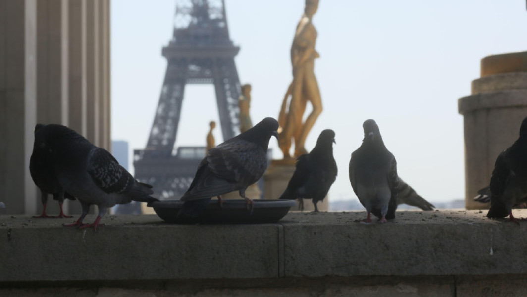 Mai multe zone din Paris au rămas fără curent electric sâmbătă, din cauza temperaturilor extreme și a unor probleme în rețeaua electrică. Operatorul Enedis a confirmat că incidentele au afectat în special Galeriile Lafayette și clădirile Adunării Naționale.