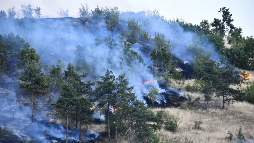 Guvernul Macedoniei de Nord a instituit stare de urgență pentru 30 de zile în întreaga țară, ca urmare a incendiilor de pădure care s-au agravat din cauza secetei, temperaturilor extreme și vântului puternic, informează digi24.ro. Purtătoarea de cuvânt a guvernului, Marija Miteva, a afirmat într-o conferință de presă la Skopje că această măsură necesită o acțiune coordonată din partea mai multor instituții, printre care armata, poliția, pompierii, centrul de management al crizelor, direcția de protecție și salvare și autoritățile locale.