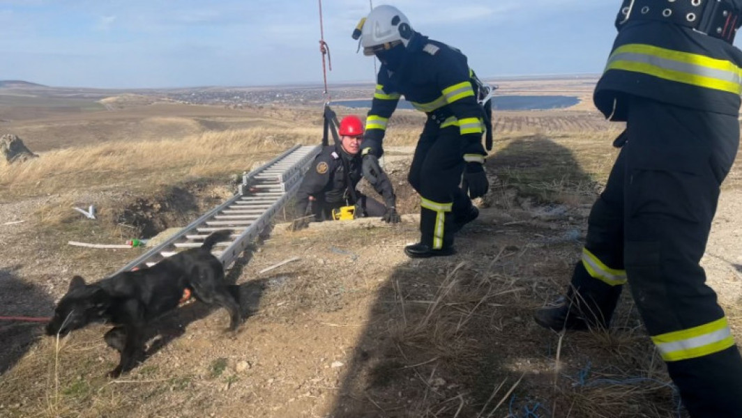 Salvarea câinelui blocat într-o groapă adâncă în Tulcea de către pompieri