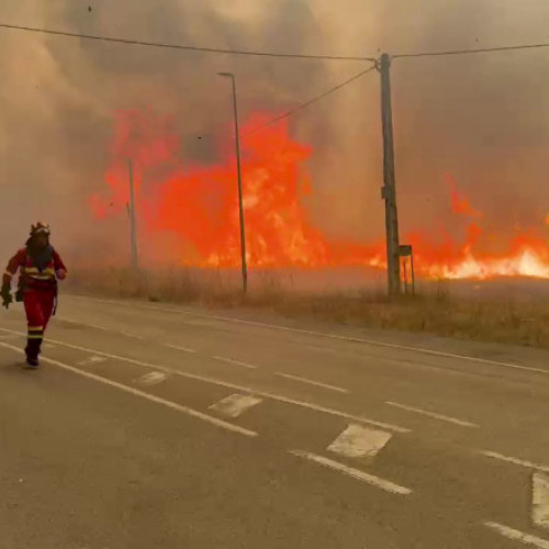 @article{title: &quot;autoritățile din Spania au arestat peste 30 de persoane în legătură cu incendiile forestiere&quot;}