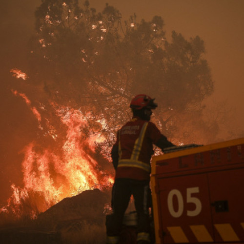 Incendiile de vegetație devastează Peninsula Iberică și atrag sprijin internațional