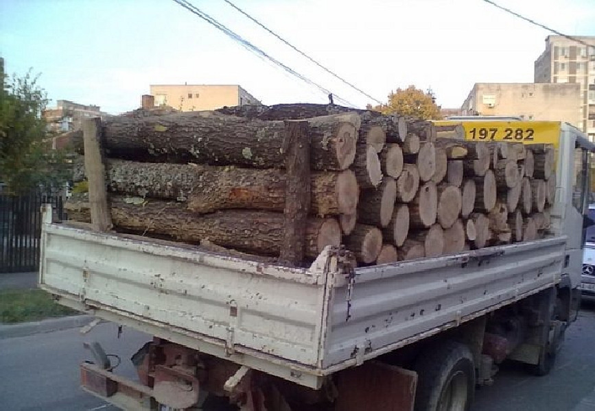 Șofer din Bicaz amendat pentru transport ilegal de lemne
