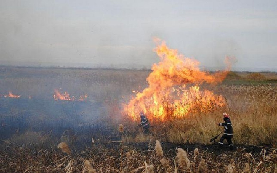 Incendiu de vegetație în Moldoveni necesită intervenția pompierilor