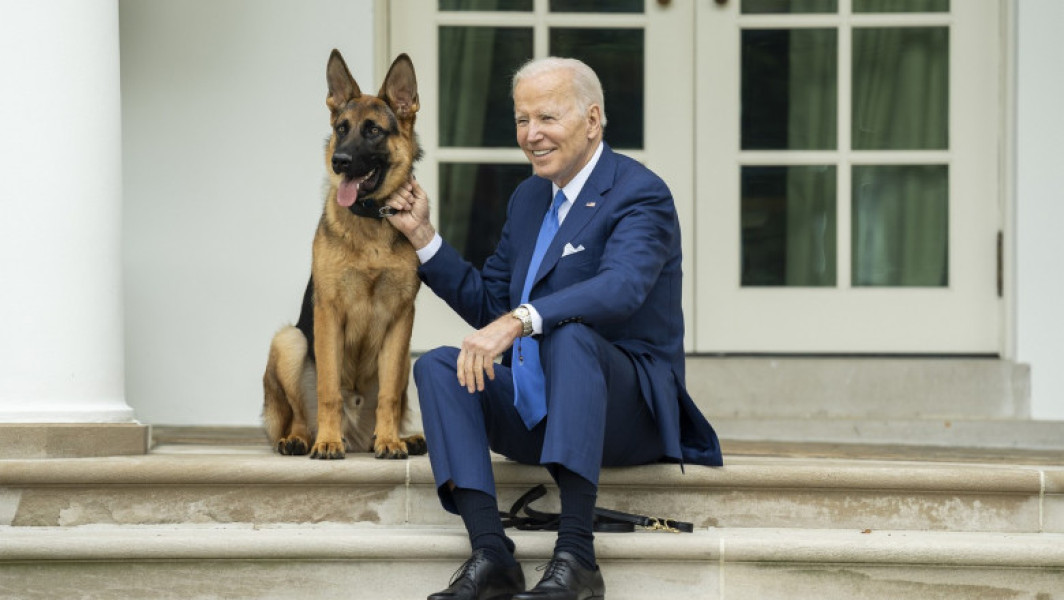 Ciinele lui Biden, Commander, mușcă de 24 de ori agenți Secretului Serviciului
