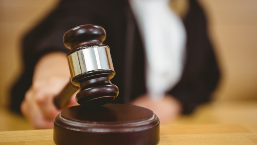 Judecătoarea anchetată în procesul lui Vlad Pascu, CSM decide măsurile disciplinare