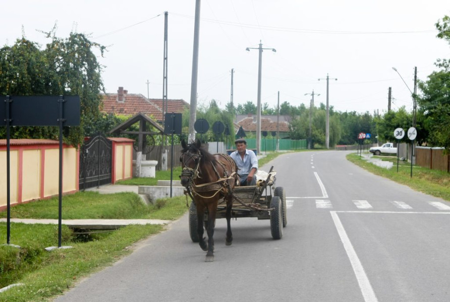Femeie rănită după ce a căzut dintr-o căruță în Bicazu Ardelean
