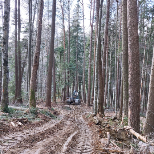 Tânăr rănit într-un accident de muncă pe un drum forestier din Tazlău