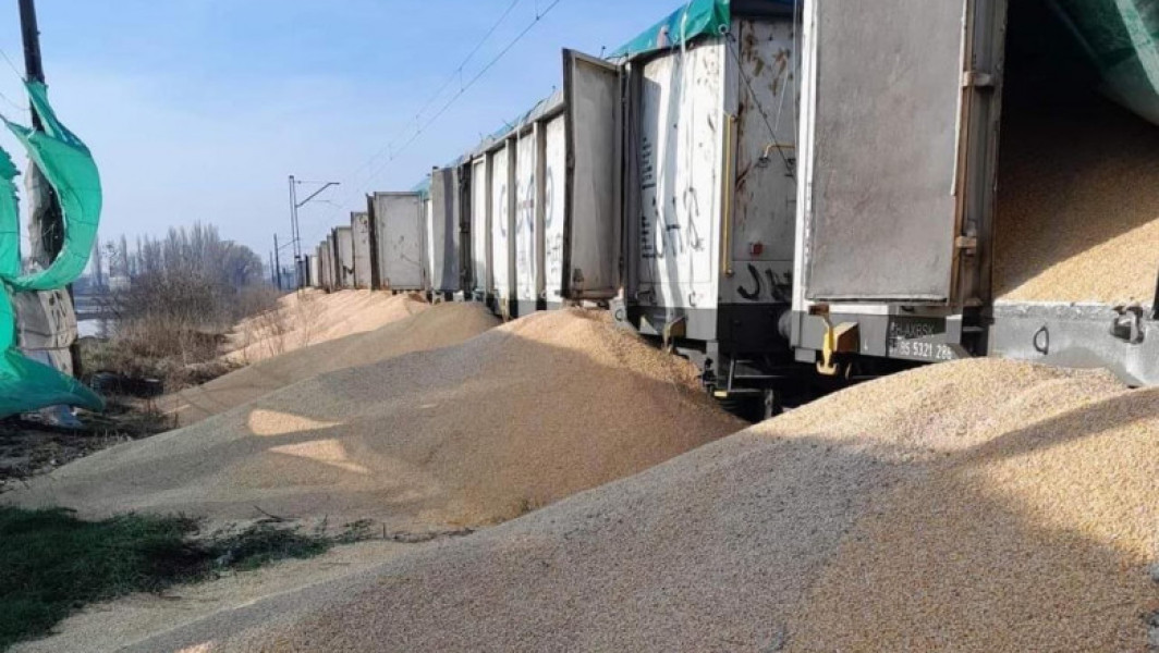 Cereale ucrainene distruse de fermierii polonezi: Un act de vandalism și iresponsabilitate