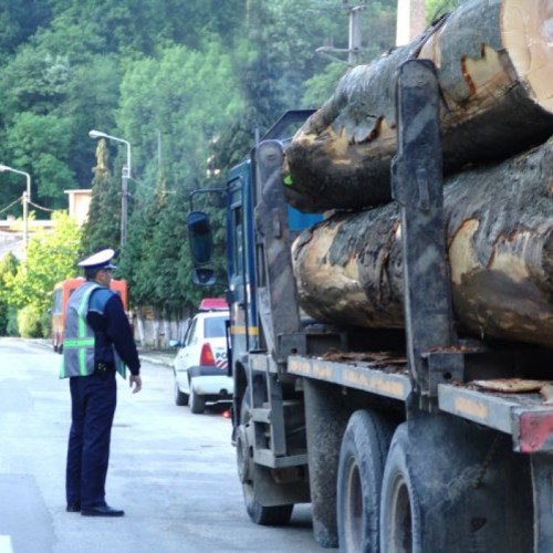 Nereguli la exploatarea lemnului in Neamt, sanctionate de Garda Forestiera