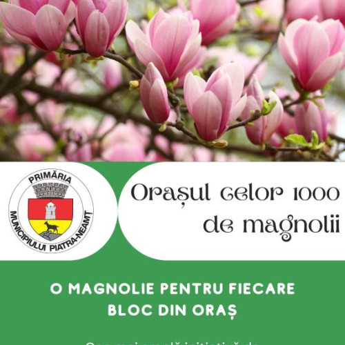 Pietra Curată - Orașul cu 1000 de Magnolii: Campania de Înfrumusețare a Spațiilor Verzi Oferă Puieți și Răsaduri pentru Fiecare Bloc!